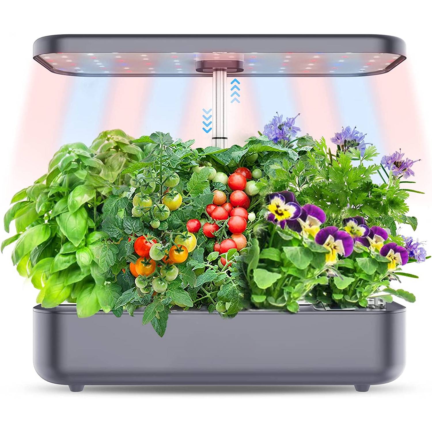 A 12 pod self watering countertop herb garden with its light rod raised